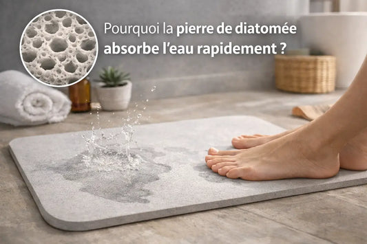 Pourquoi la pierre de diatomée absorbe l’eau rapidement ?